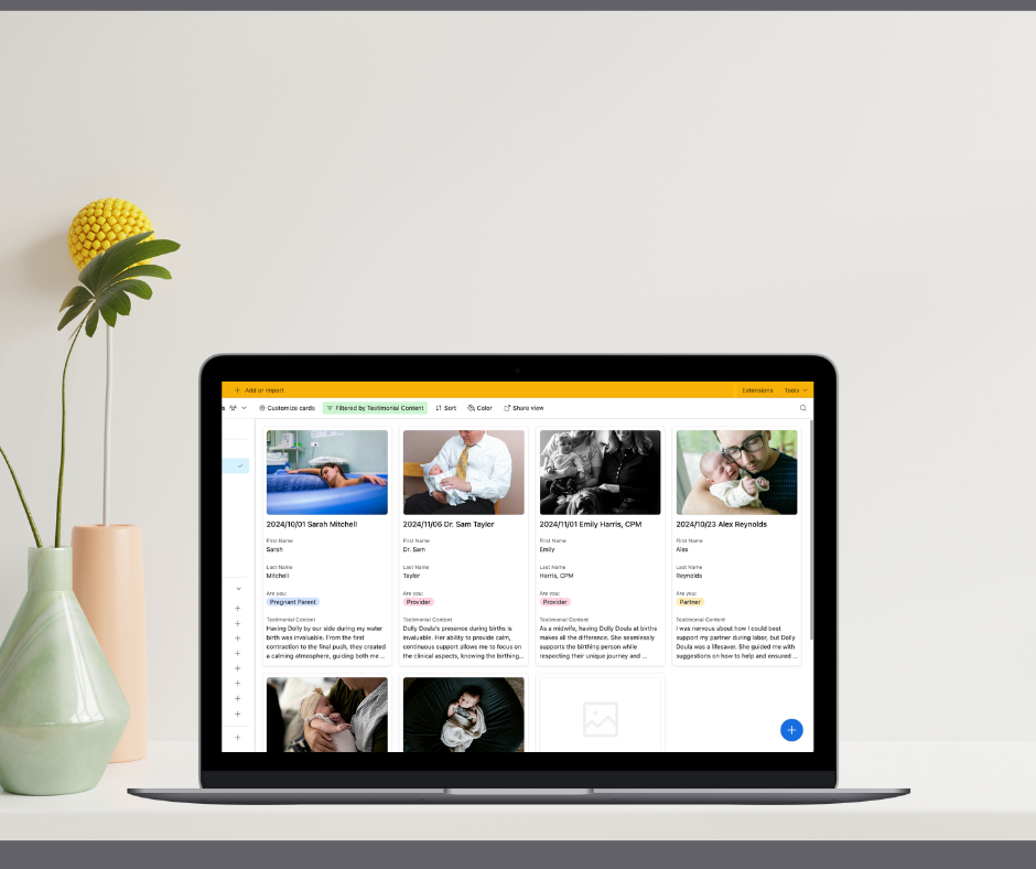 A computer screen with a screen shot of the doula testimonial Tracker.